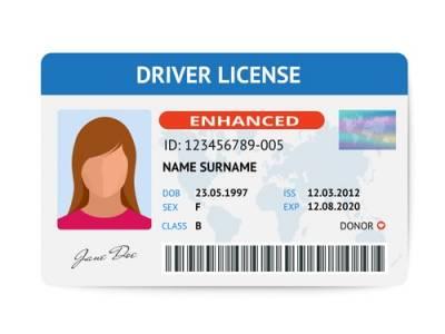Driver's License Fraud Suspensions and Consequences