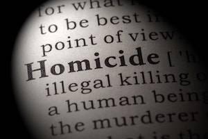 DuPage County criminal defense attorney, reckless homicide